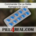 Commander De La Gelée Kamagra En Ligne 22